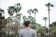 a man looking up to the tops of palm trees 