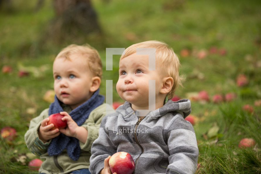 toddler sitting in grass biting apples 