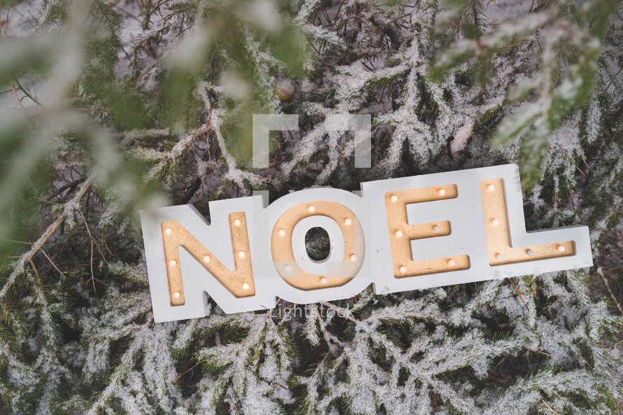 noel sign in tree branches covered in snow 