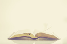 open Bible against a white background 