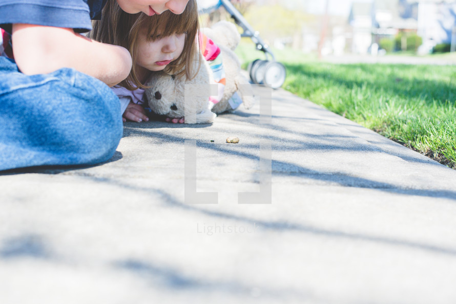 children watching a bug on a sidewalk 