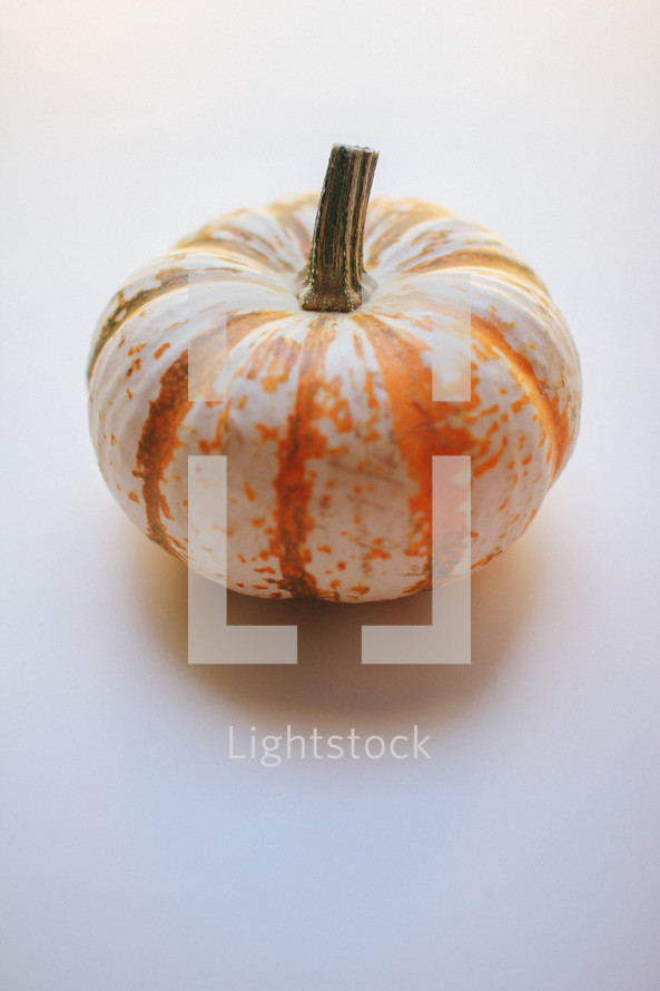 white and orange striped pumpkin 
