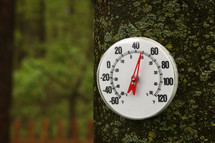 a thermometer on a tree 