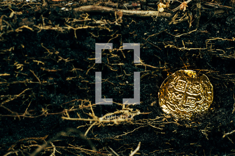 gold coin in dirt 
