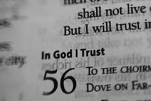 In God I trust