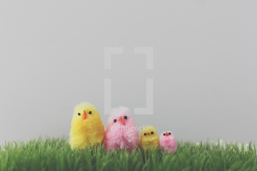 fuzzy Easter chicks in grass 