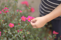 child touching flowers 
