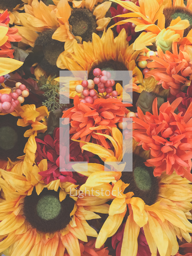 fall flowers background 