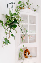 house plants on a corner cabinet 