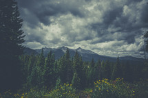 cloudy skys over a mountain forest 