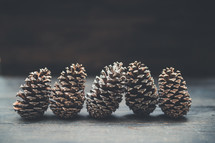 pine cones 