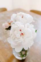 peonies on a table 