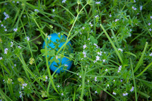 plastic Easter egg hidden in grass 