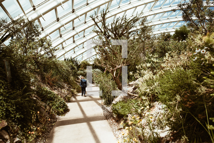 child walking on a path in a Botanical garden greenhouse 