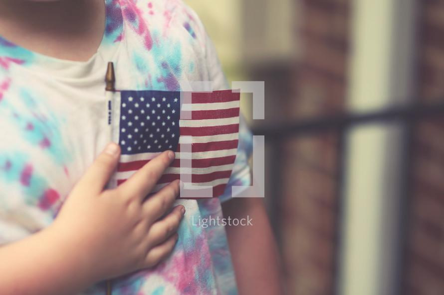a toddler boy holding an American flag 