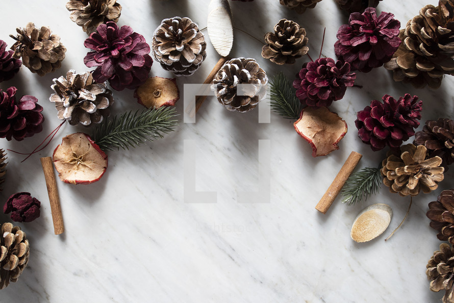 pine cones and dried fruit on marble 