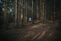 a person walking through the woods 