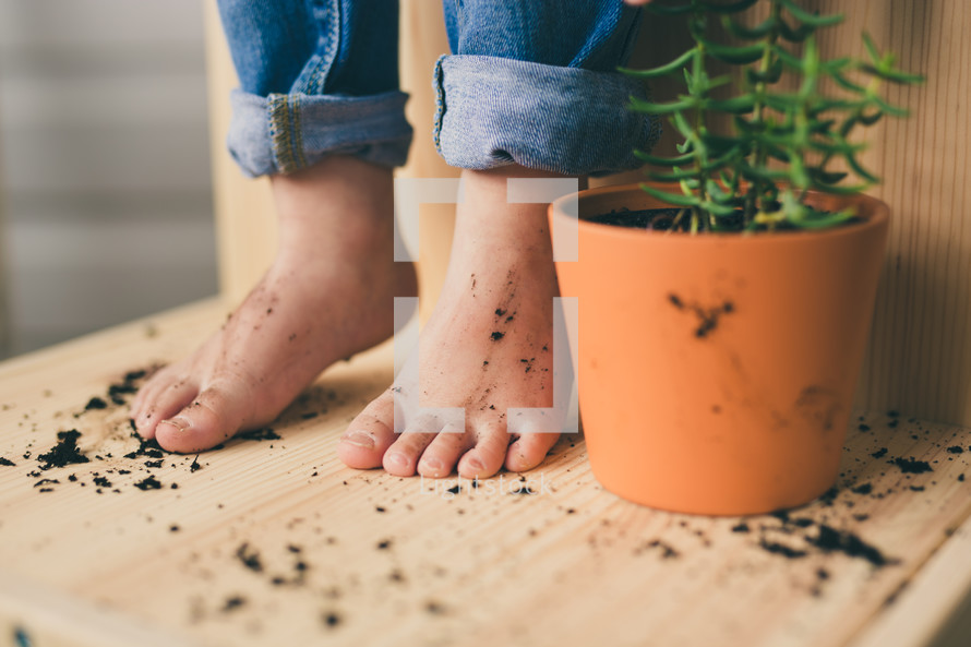 kid's feet and a potted plant 