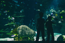 silhouette of children looking at fish at an aquarium 