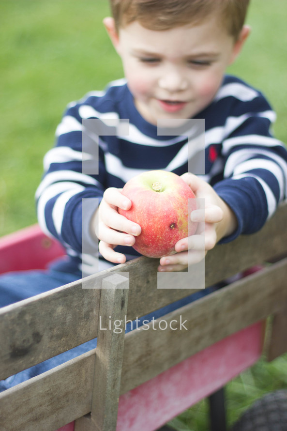 a toddler in a wagon holding an apple 