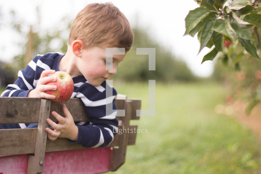 a boy holding an apple riding in a wagon 