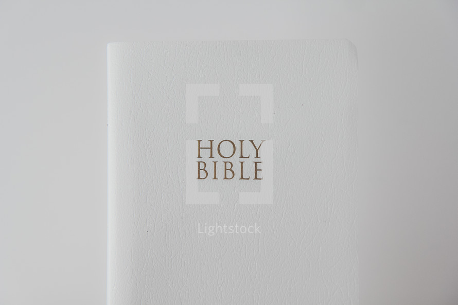 Holy Bible on a white background 