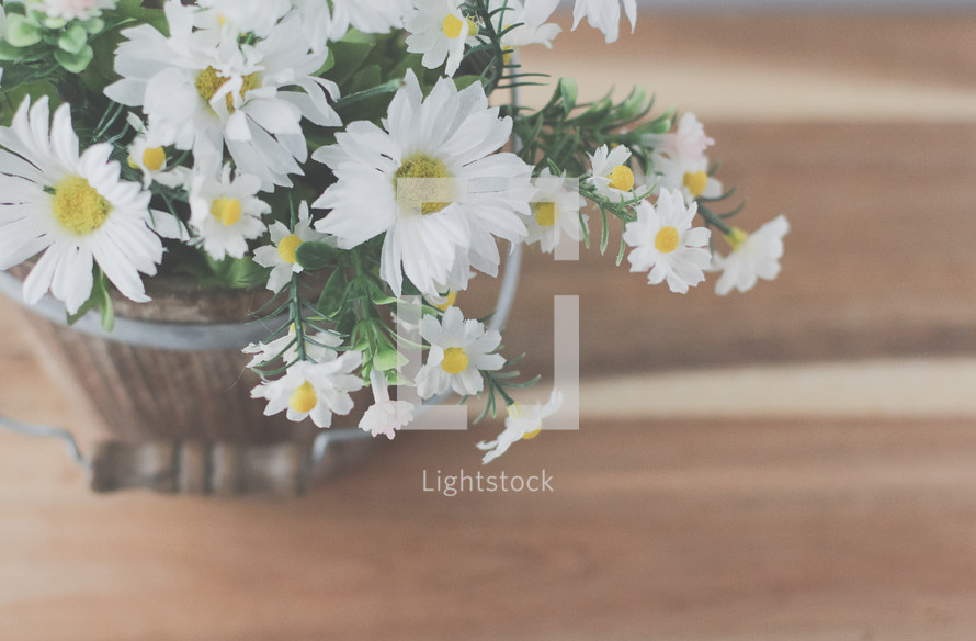 a wooden bucket full of white daisies 