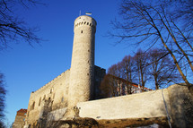 Castle Tower. Fortress, stronghold.