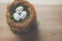  speckled bird's eggs in a nest on a table 