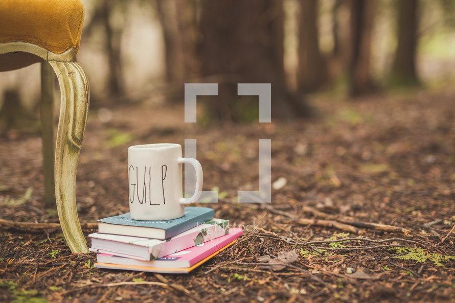 chair, books, and mug in a  forest 