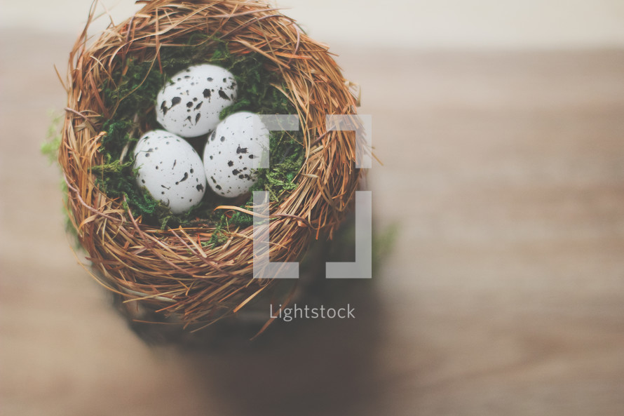  speckled bird's eggs in a nest on a table 