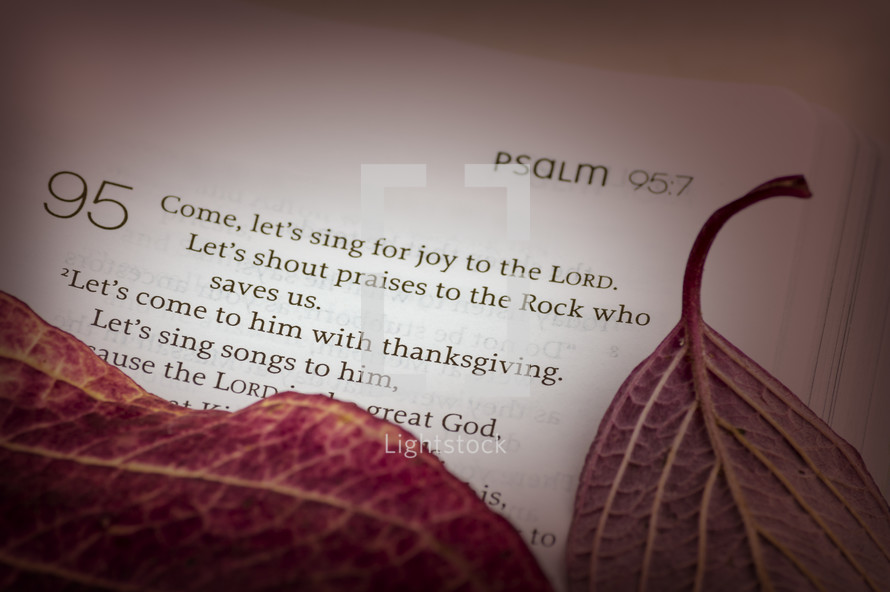 Psalm 95:7