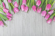 Spring Tulip Flowers Background with Copy Space