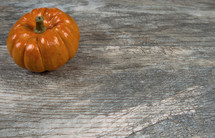 pumpkin on a wood background 