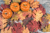 fall leaves and pumpkin 