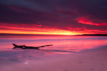 driftwood and white sand beach under the glow of a pink and purple sky at sunset