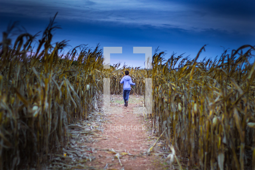 a child exploring a corn maze 
