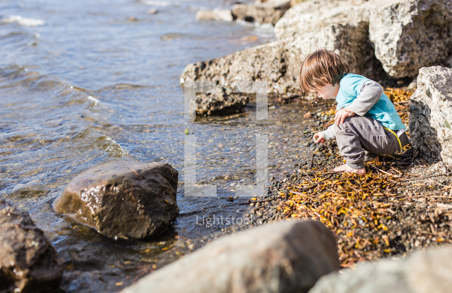 a child looking for shells along a shore 