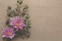 pink flower against a linen background 