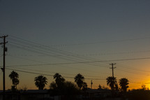 sunset with telephone wire silhouettes