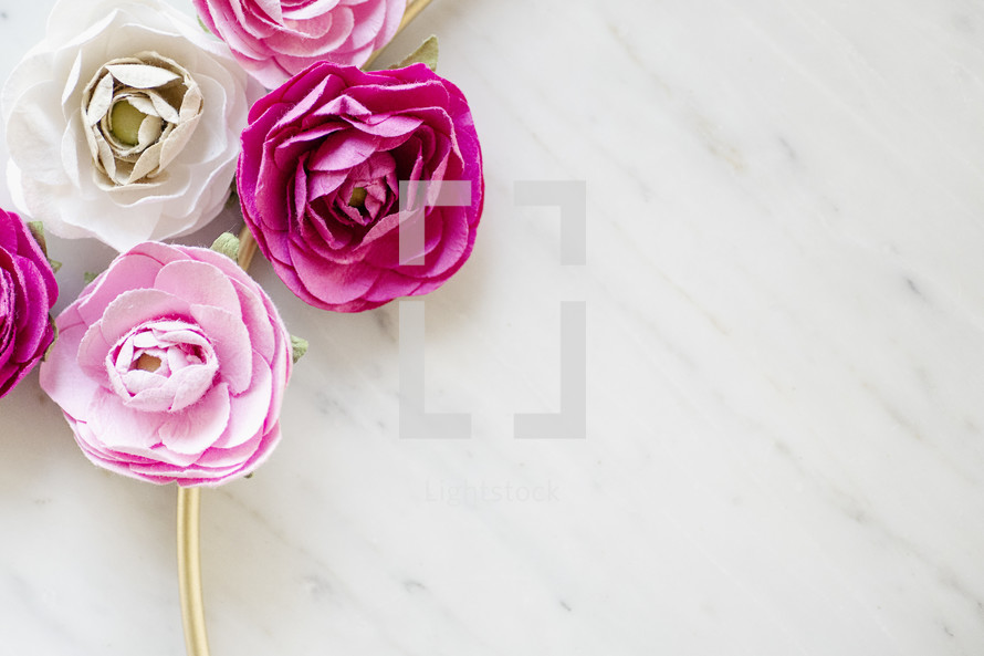 pink and white roses 