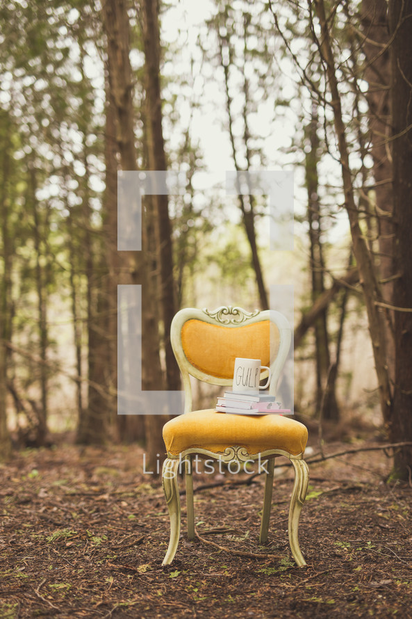 chair, books, and mug in a forest 
