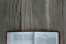 A Bible opened to Acts 