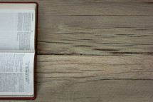 A Bible opened to 2 Timothy 