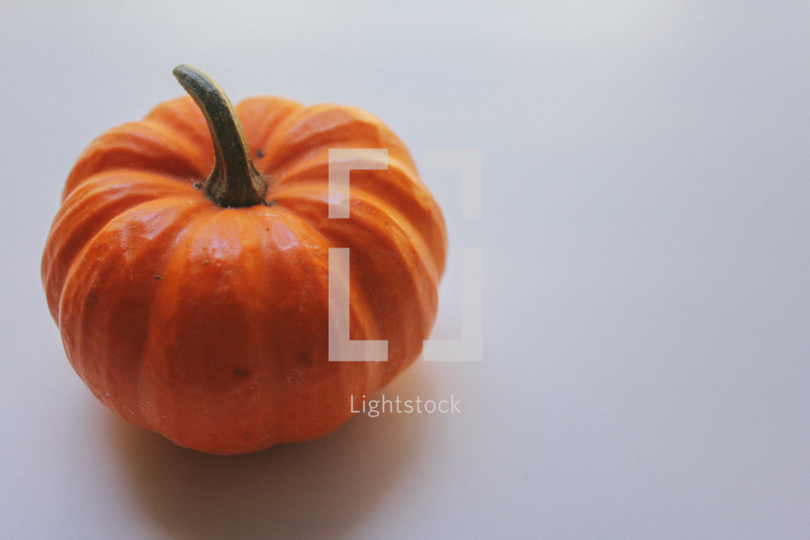 small pumpkin 
