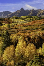 The fall colors grace the mountainside of the Dallas Divide in the fall season