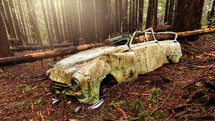 abandoned car in a forest 