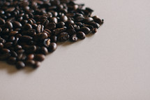 coffee beans on a white background 