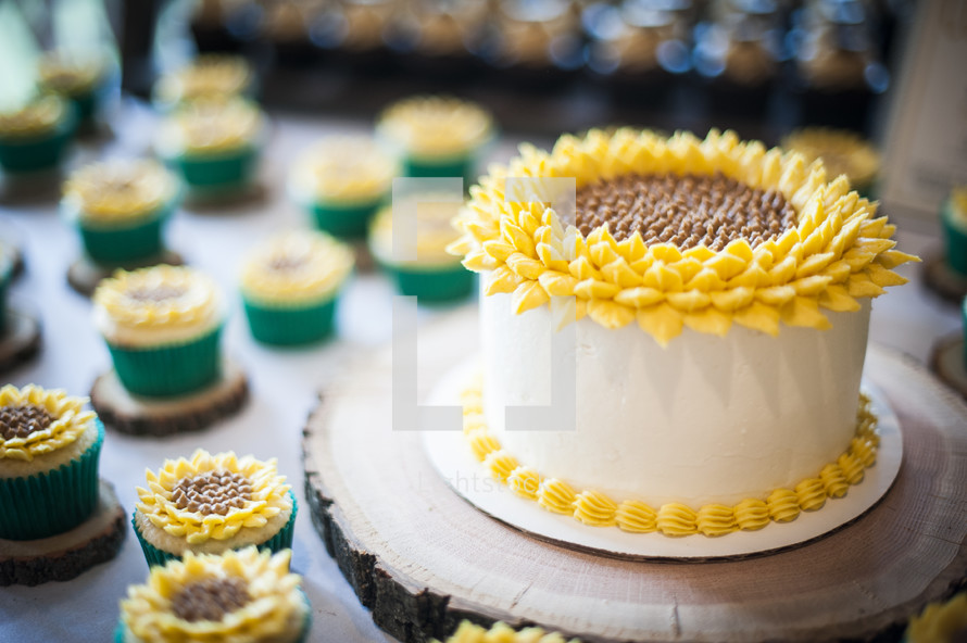 sunflower cake and cupcakes 