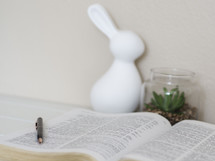 white rabbit figurine, succulent plants, and pen on an open Bible 